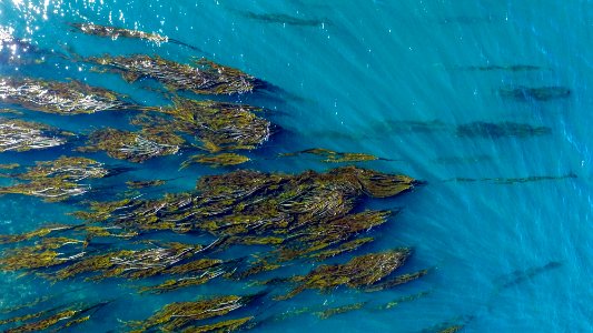 San juan Island, Friday harbor, United states photo