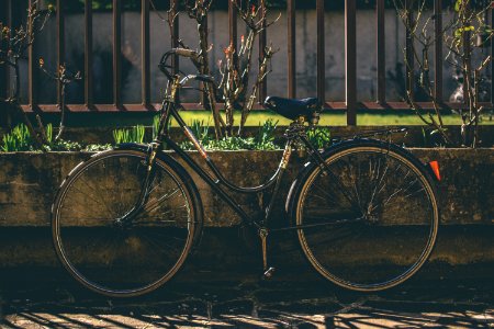 Locked, Lock, Bicycle