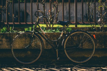 Locked, Lock, Bicycle photo