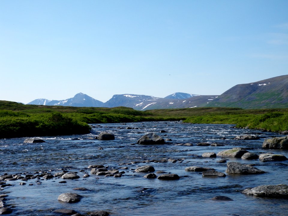 Bristol bay, United states, Grass