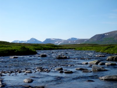 Bristol bay, United states, Grass