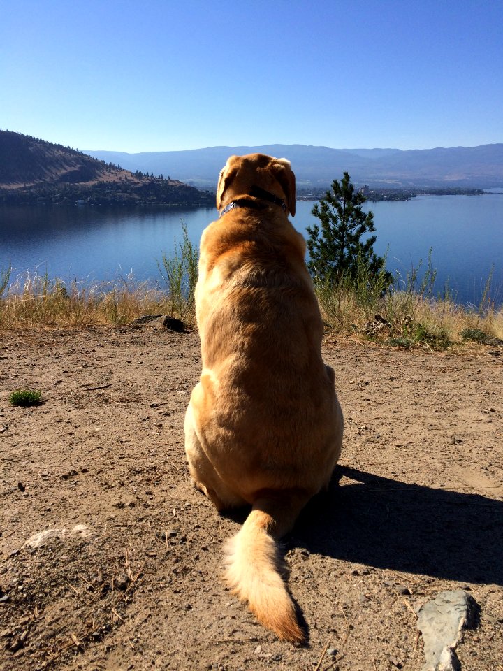 Douglas lake, British columbia, Canada