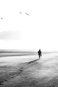 grayscale photo of person walking under birds photo