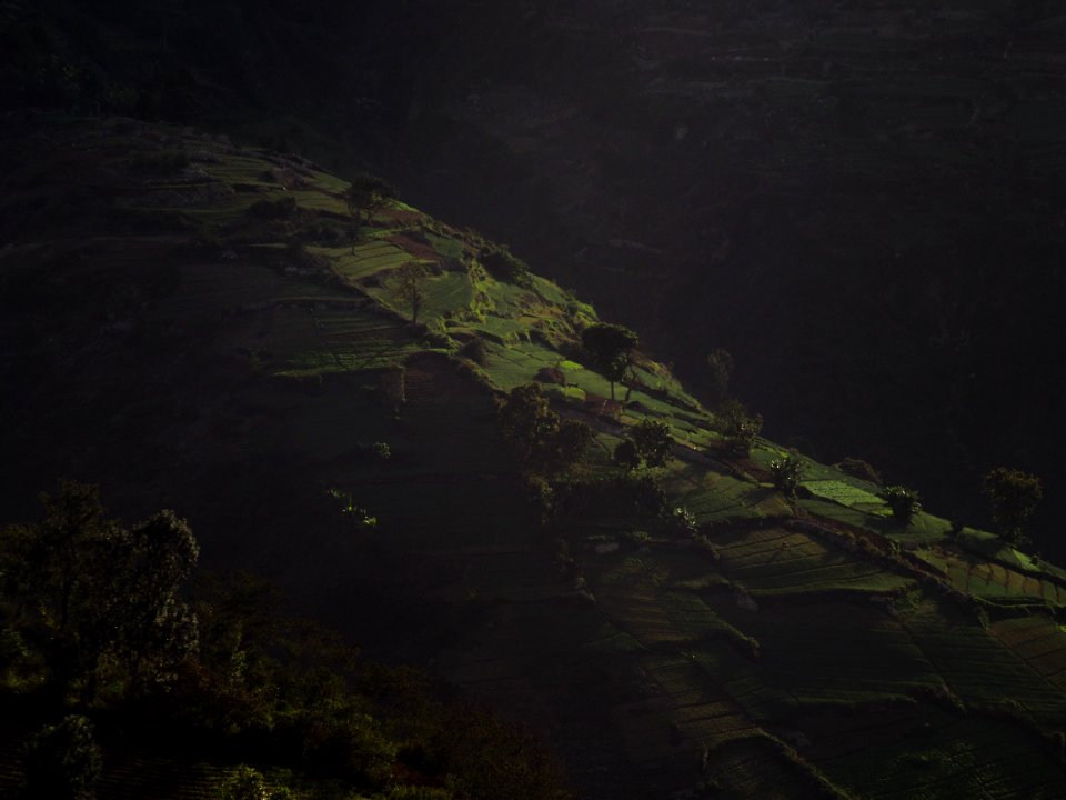 Haiti, Agriculture, Mountain
