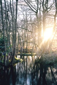 Chelford, United kingdom, Outdoors