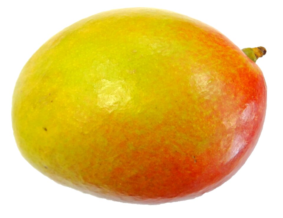 Melon organic healthy