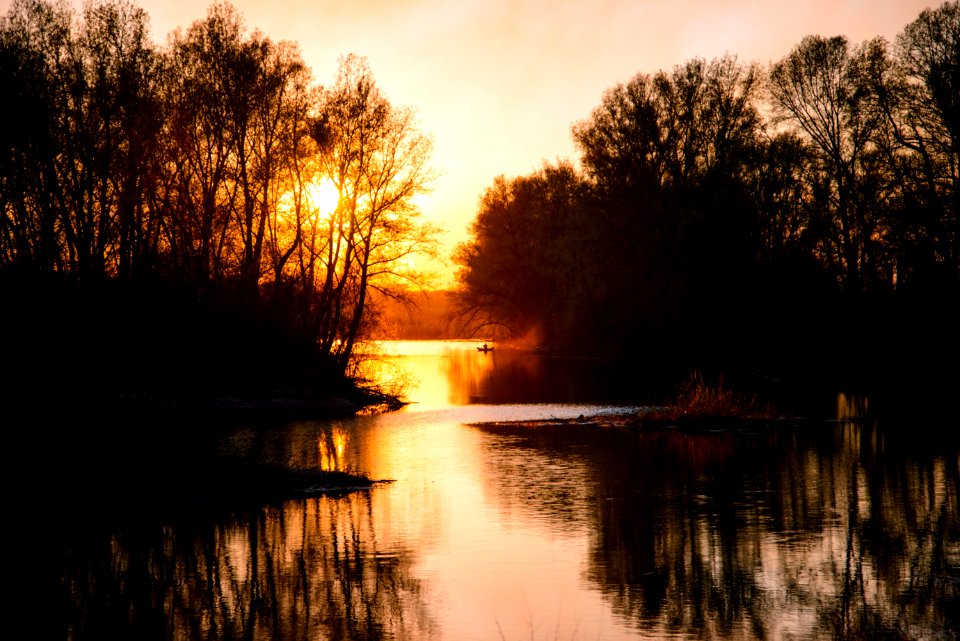 Silhouette, Fisherman, Trees