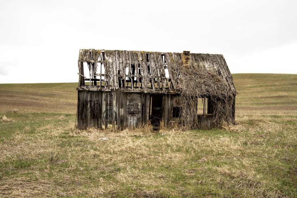 Farm architecture rural