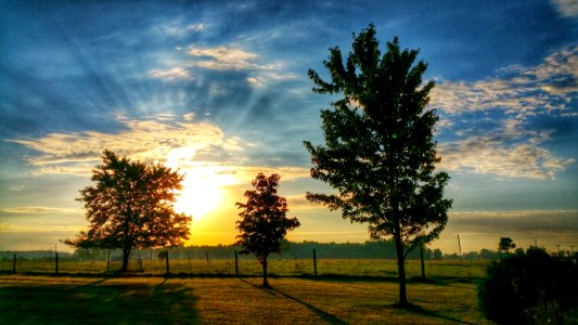 Sunrise, Blue sky, Trees