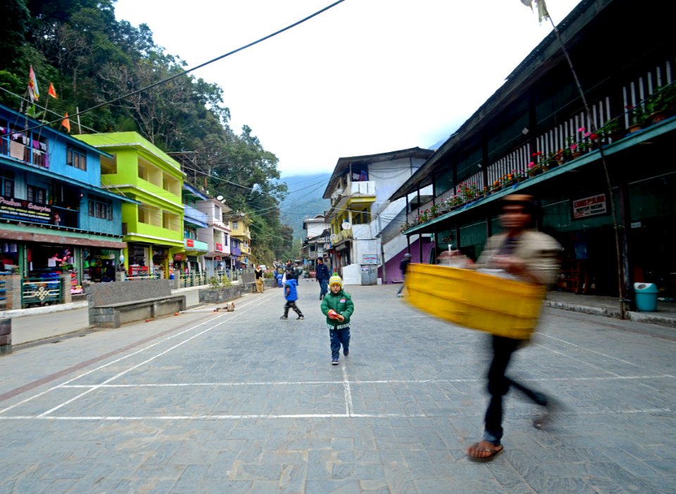 Dentam bazar, Dentam forest block, India