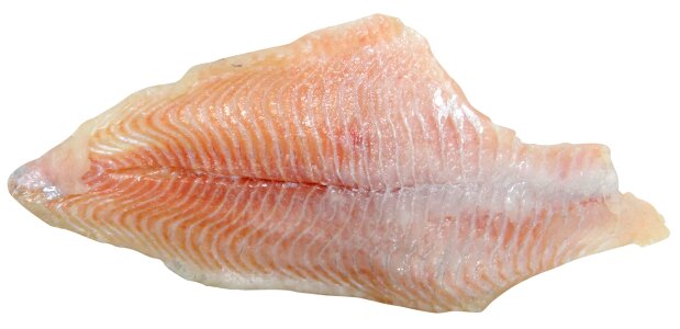 Seafood cooking aquaculture