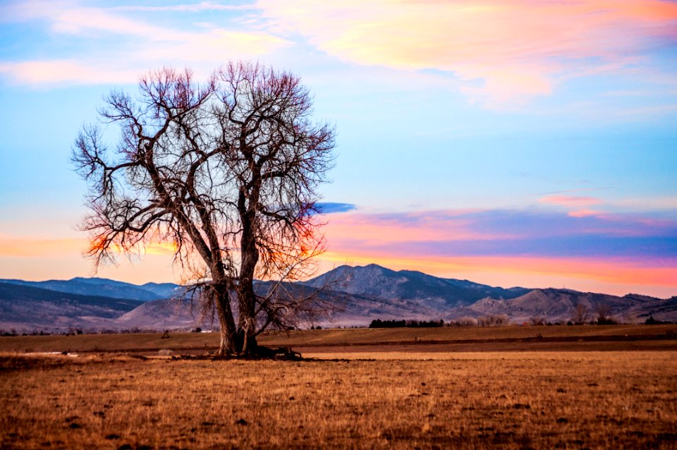 Longmont, United states, Rule of thirds