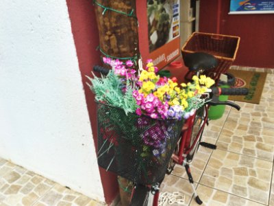 Guas de so pedro, Brazil, Bike