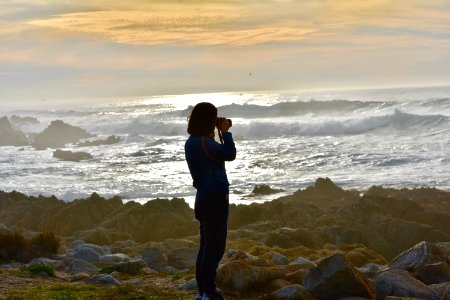 17 mile drive, Pacific grove, United states
