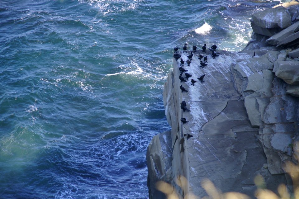 Chticamp, Canada, Ocean