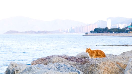 Harbour, Building, Rock