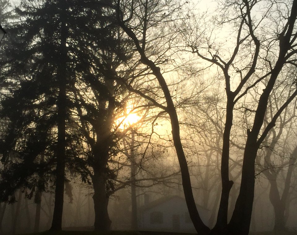 Newtown, United states, Fog