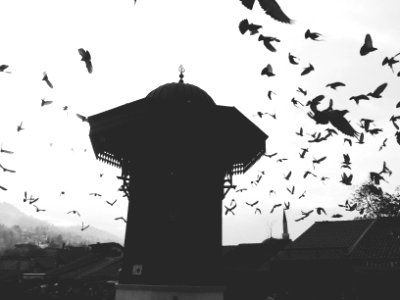Sarajevo, Bosnia, Herzegovina
