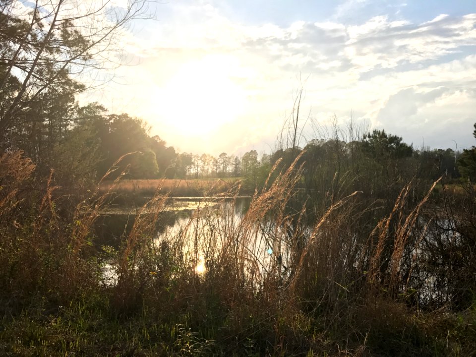 Chatham, United states, Sunset
