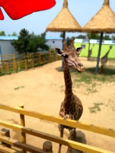 In weihai, China