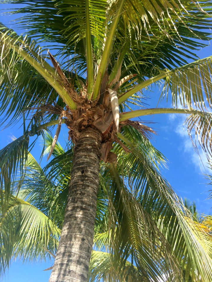 Turks, Caicos Island, Beach