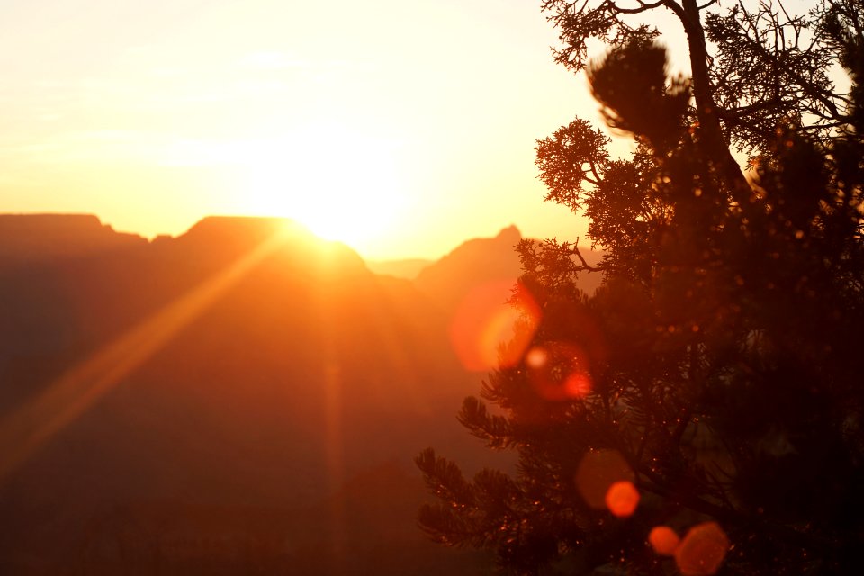 Canyon national park, United states, Sunrise