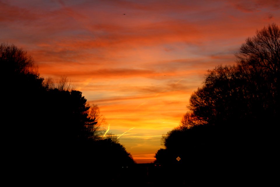 Massachusetts, United states, Love
