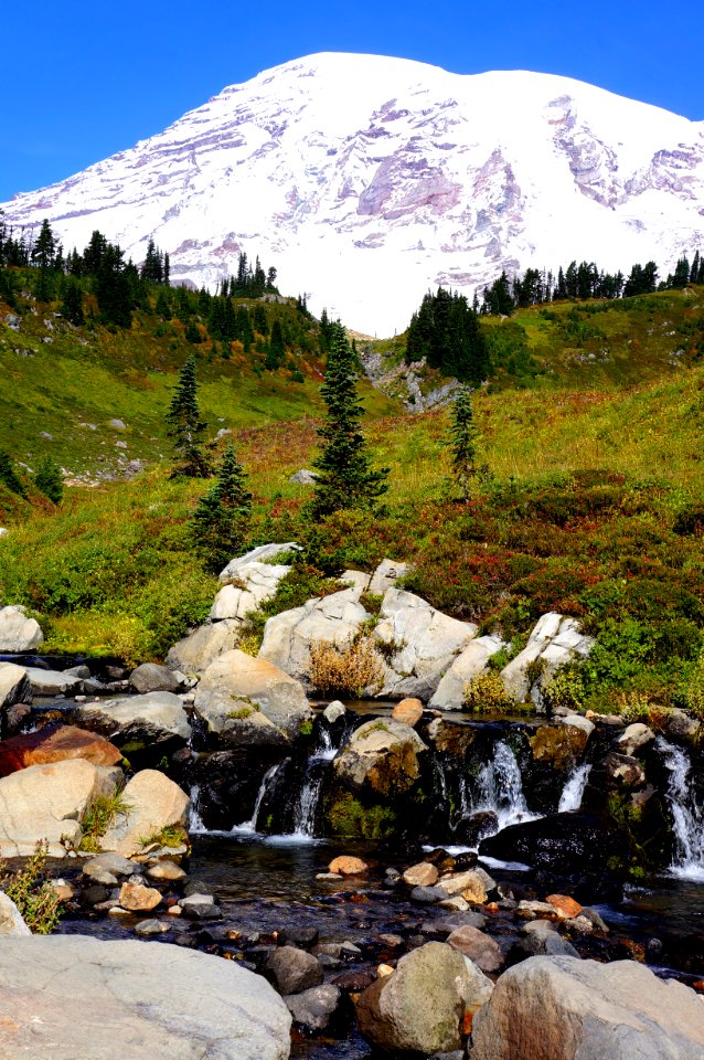 Mount rainier national park, United states, Unreal