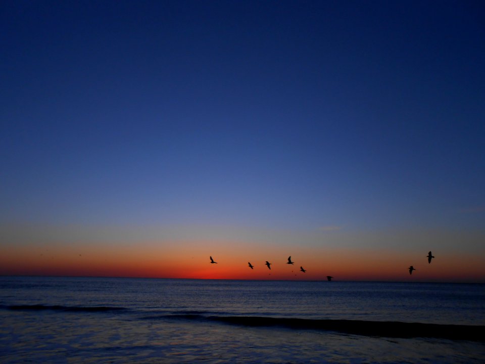Hunting Island,  beach, United states