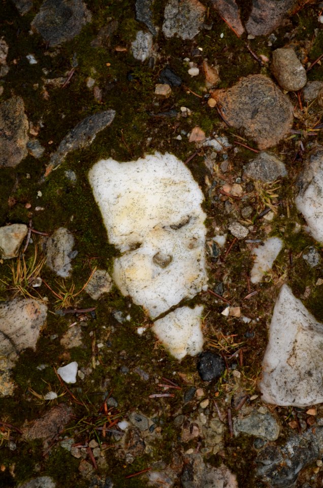 Tyndrum, United kingdom, Death