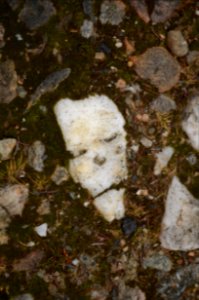 Tyndrum, United kingdom, Death