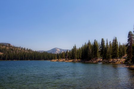 United states, Tenaya lake, America