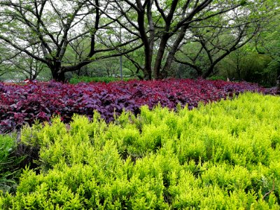 Wuhan, Hubei, China photo