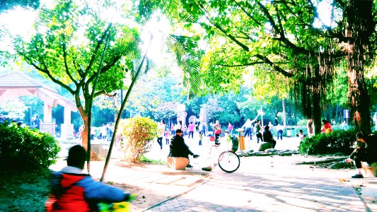 Garden, Life