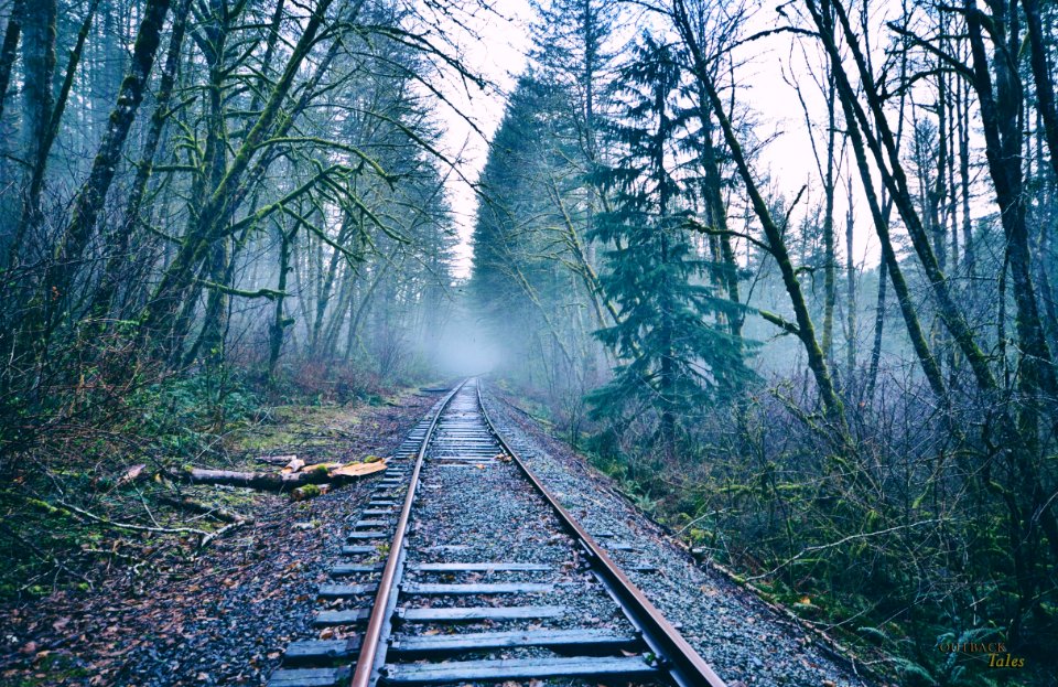 Yacolt, Moulton falls park, United states