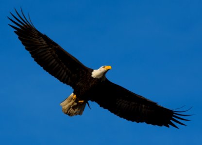 Vancouver, Canada, Nature