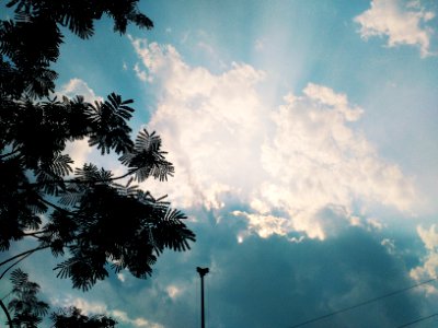 Natural, Surreal, Picture