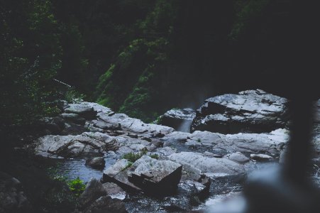 Canada, Trees, Nature