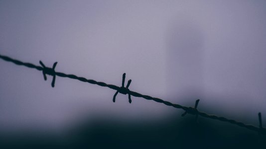 Wire, Fence, Barbed wire photo