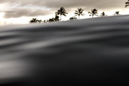 silhoutte of palm tree under cloudy sky photo