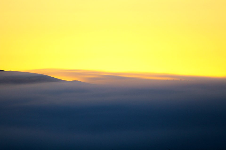 Yellow, Mammoth lakes, United states