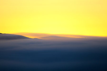 Yellow, Mammoth lakes, United states