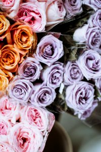 bouquet of different colored roses photo