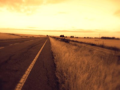 Freedom, Ahead, Road