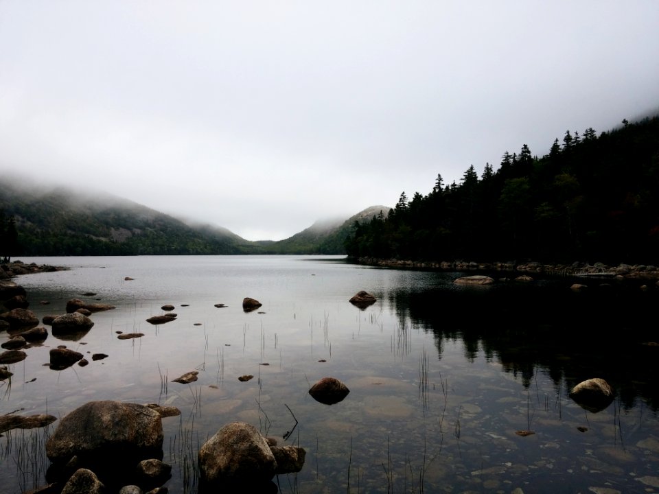 Fog on jordans pond, Bar harbor, Maine