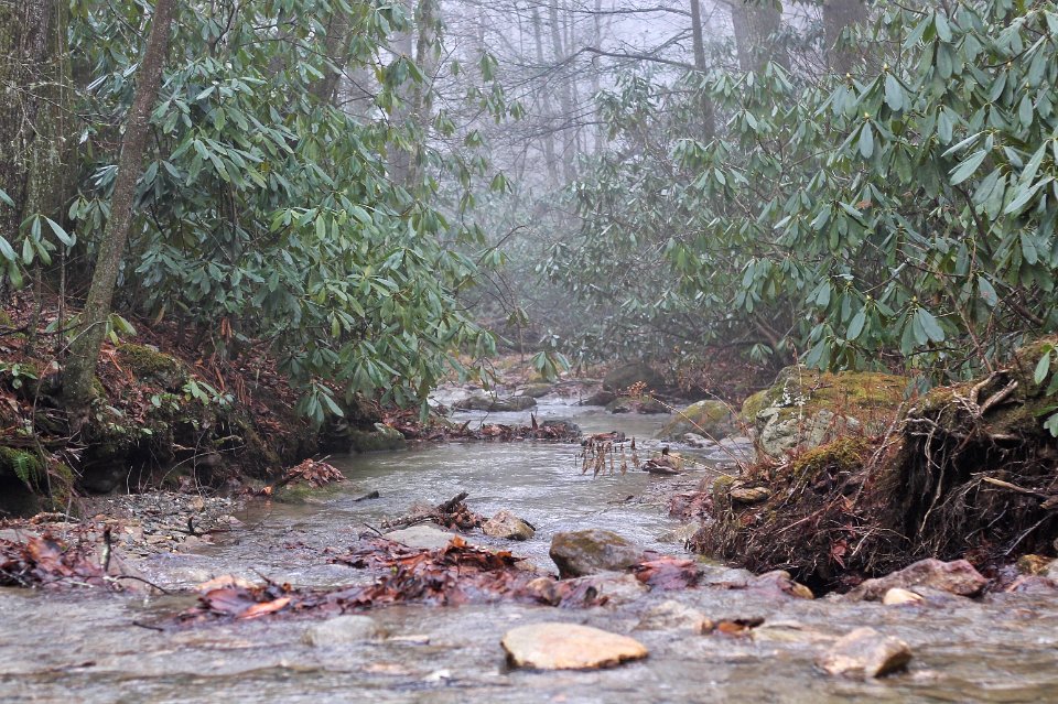 Penley road, Lenoir, United states