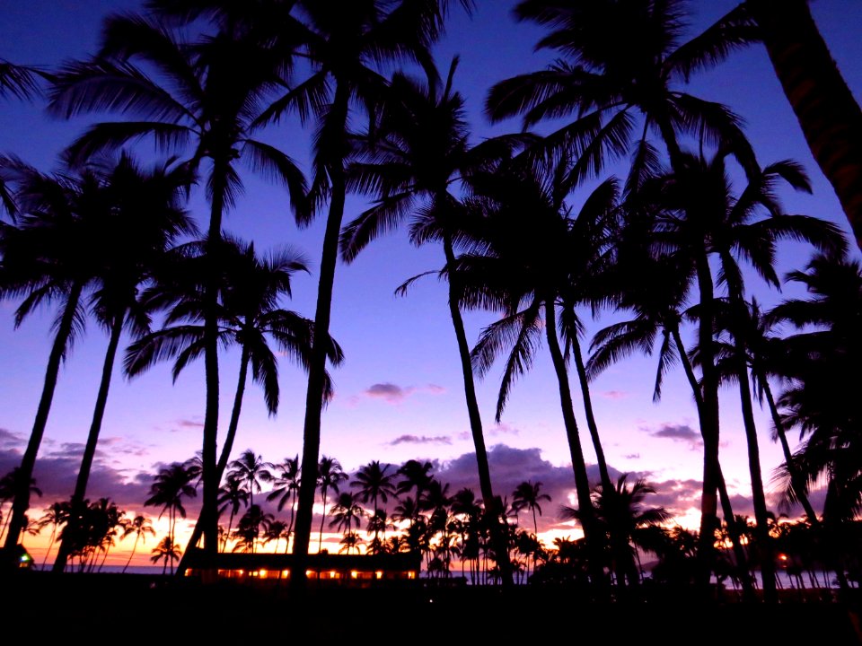 Maui, United states, Getaway