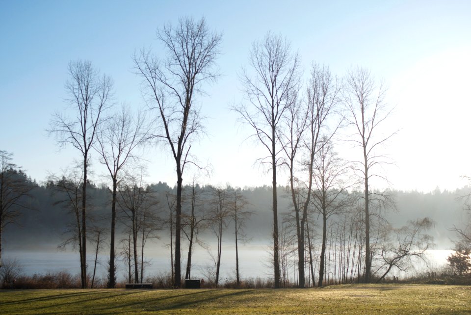 Deer lake park, Burna