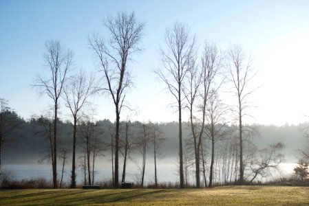 Deer lake park, Burna