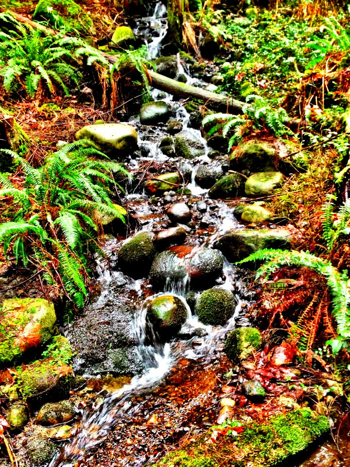 Rocks, Plants, Waterfall